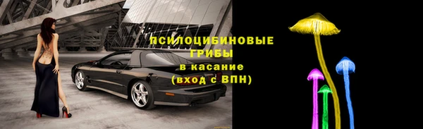 винт Пересвет