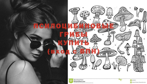 метадон Пестово