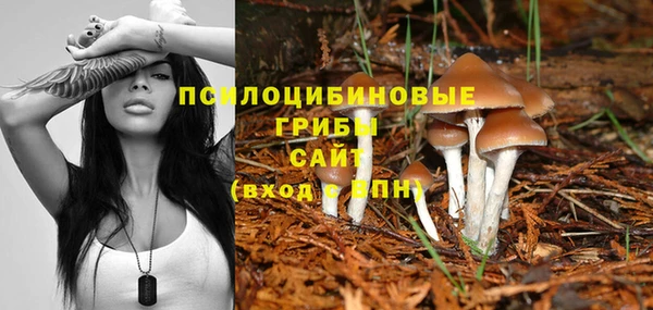 дмт Балашиха