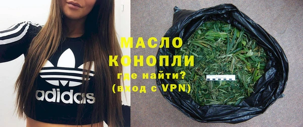 винт Пересвет