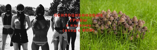 мет Туринск
